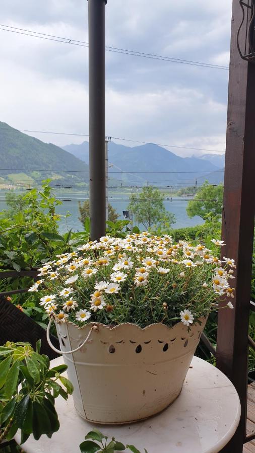 Appartement Harrer เซลล์อัมเซ ภายนอก รูปภาพ